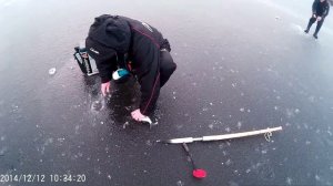 ловля на гирлянду