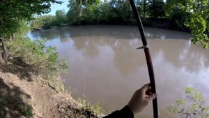 ловля речного Усача, на реке Сунжа