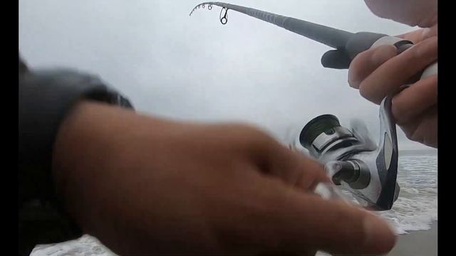 Berkley Sandworm vs. Crawdad. New Perch Candy? смотреть онлайн