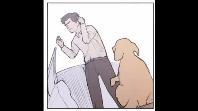 Озадаченный кот за столом смотреть онлайн