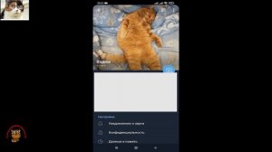 Как Удалить Фото Аватарки в Телеграме. Как Убрать Аву в Telegram с Телефона