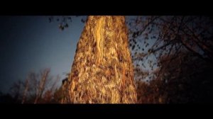 Вальс Бостон COVER