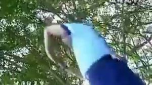 Комплекс для гармонизации пяти элементов У СИН