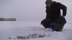 Традиционный рыболовный фестиваль "Пудожские налимы" 2018. Карелия.