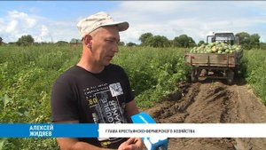 В Хабаровском крае наращивают поголовье крупного рогатого скота