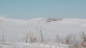 Башкирия, Саракташ.