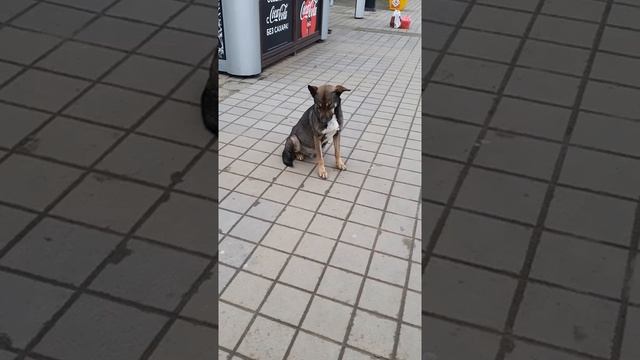 После праздников и на работу... смотреть онлайн