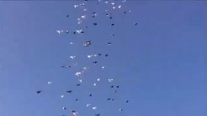 "" НИКОЛАЕВСКИЕ ГОЛУБИ .... "" КАЛМЫКИИ "" 2018 .Г.
