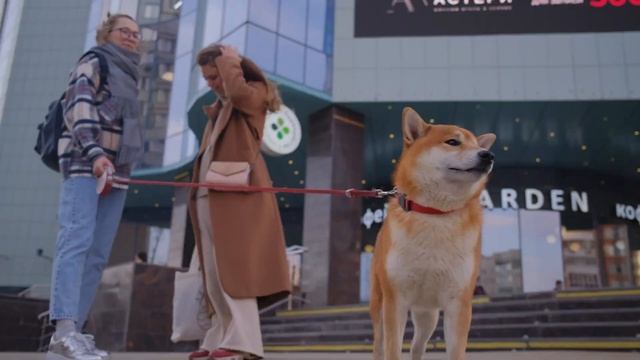 Quick video test of Fujifilm X100V  4K handheld in dynamic