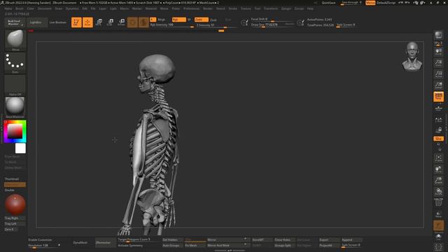 30_Упражнения по анатомии для создания #3d_персонажей