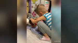 Бассет-хаунд.Смешно кушают )))).