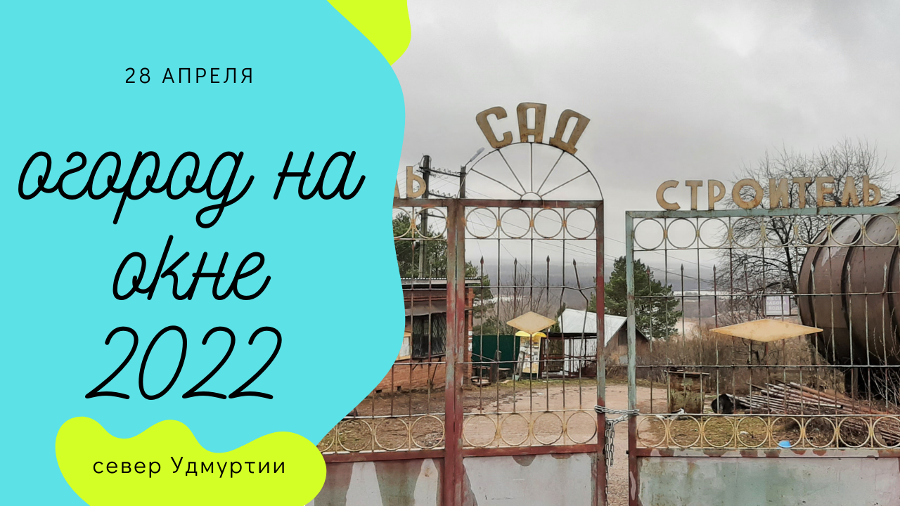 Пересадка на балконе. Что на огороде? Огород на окне. часть 11.