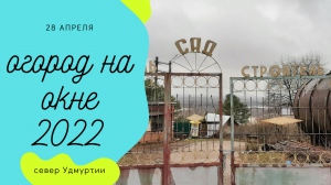 Пересадка на балконе. Что на огороде? Огород на окне. часть 11.