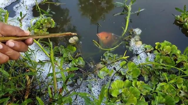 как ловили рыбу в XV веках и сейчас в Азии смотреть онлайн