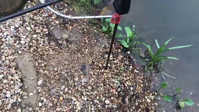 И снова линь клюет. смотреть онлайн