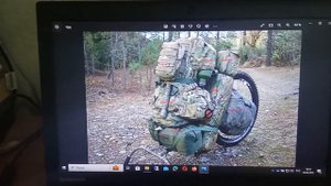 Пиконь вруна