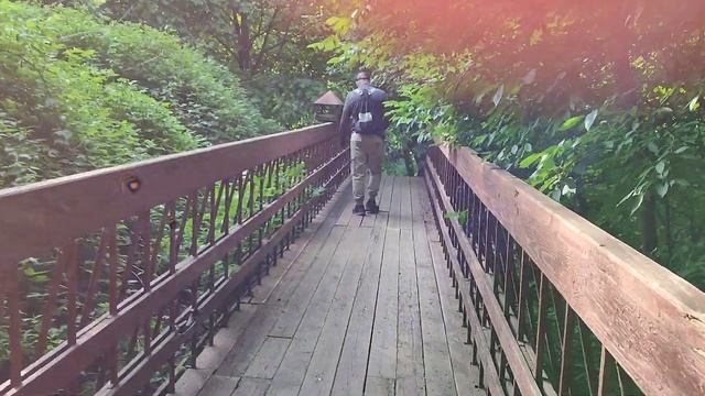 Коломенское. Старая лестница. На красное не становиться! 27 мая 2023 г. смотреть онлайн