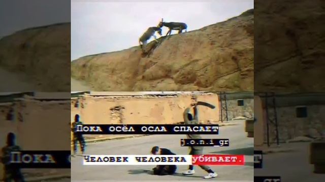 Пока осёл осла спасает