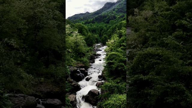 Relaxing Natural Sound of Water flowing 💦| Amazon Forest