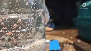 Выращивание опарыша за три 3 дня.Часть 2??