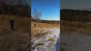 черемшаны 3 Хвалынск