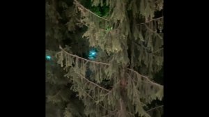 Санаторий «СИБИРЯК» Новосибирская область г. Бердск