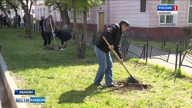 В Абакане тополя сменят пенсильванские ясени смотреть онлайн
