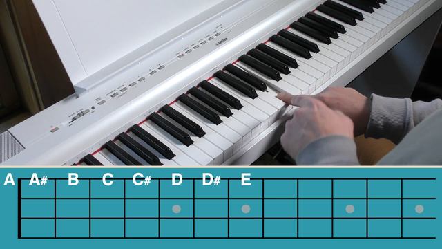 Ukulele Techniques | Notes of the Fretboard | Tutorial + Tips