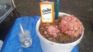 Пищевая сода в рационе кур