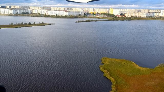 Август 2022, посадка Янтарное.