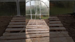 Утки живут в теплице? | Обустраиваем теплицу для утят