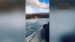 25 UNBELIEVABLE MOMENTS CAUGHT ON CAMERA