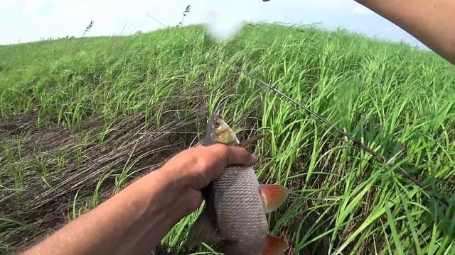 Забрался в ДИКИЕ ЛУГА!!РЫБЫ КИШИТ В ТРАВЕ!Крупный окунь,язь,щука.Рыбалка на воблеры и волкеры.