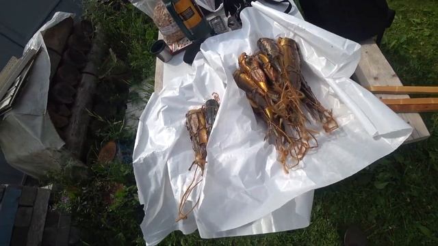 Моя коптильня холодного и горячего копчения. смотреть онлайн