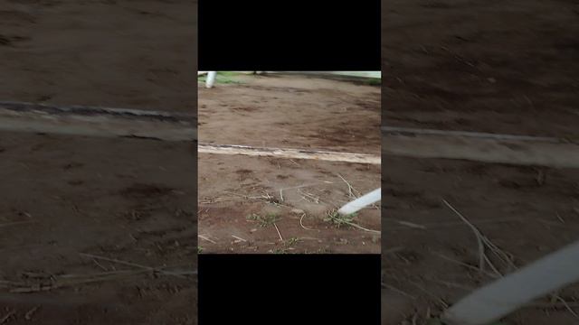 Выживание 24 часа в зоопарке. 3 Сезон, 2 серия