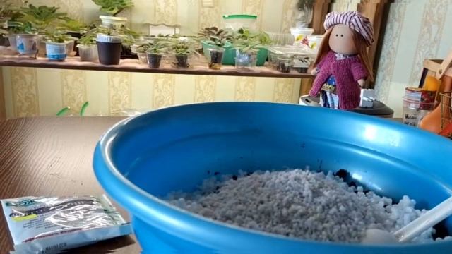 САМЫЙ ЛУЧШИЙ ГРУНТ ДЛЯ ФИАЛОК
