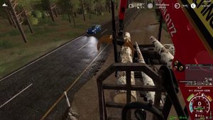 FS19/ Простое управление фишкой!