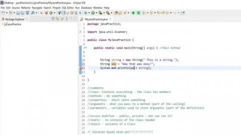 Java Variables | Live #5 Programming Practice for Beginners