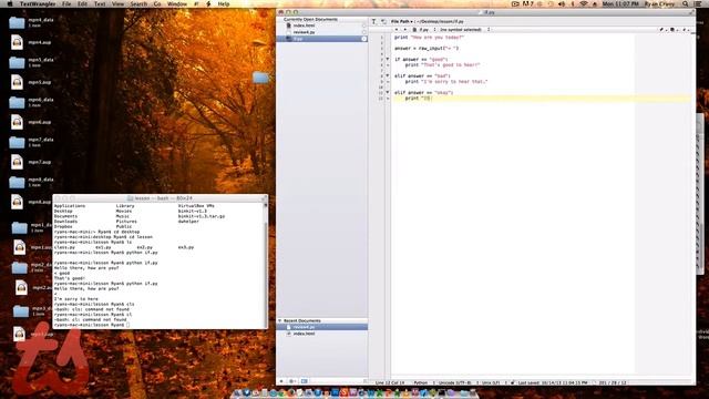 Programing with Python if and else смотреть онлайн