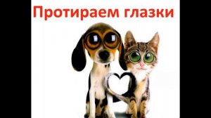 САЛОН КРАСОТЫ ДЛЯ МАЙКЛА ? Секреты ухода за йорком / Beauty saloon for Dog / Yorkshire Terrier