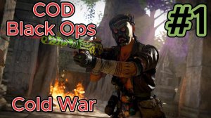 #1 Call of Duty Black Ops Cold War Прохождение в 2024 Некуда Бежать #1