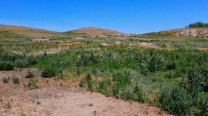 Какие ждут находки на раннесоветской мусорке