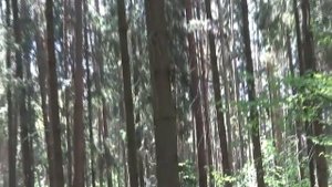 Ритуал от кожных болезней. Для всех. Из серии ритуалов Безмолвная магия ВЕДЬМИНА ИЗБА ИНГА ХОСРОЕВА