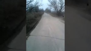 Дорога из поселка Грицовский в Новомосковск.