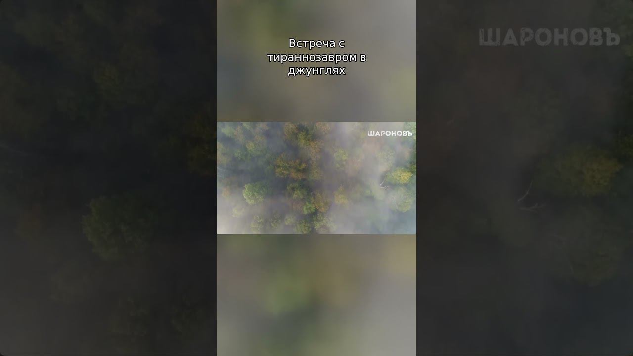 Встреча с тираннозавром в джунглях