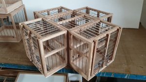 Комплект отсадников и хлопушек.