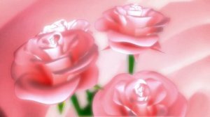 ФУТАЖ РОЗОВЫЕ РОЗЫ .ФУТАЖИ И ФОНЫ ДЛЯ ВИДЕОМОНТАЖА.футажи для видеомонтажа hd