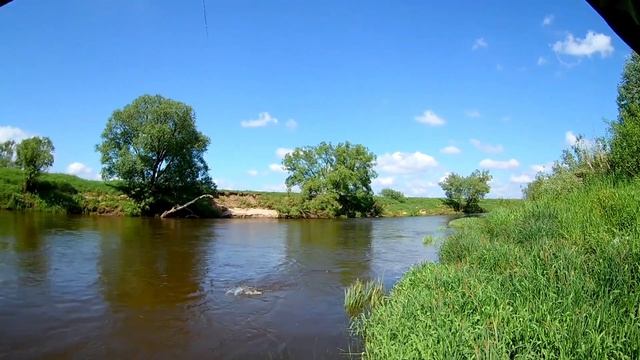 Голавль атакует 3. Ловля голавля спиннингом .