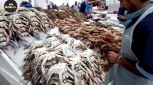 World's largest fish market in Dubai - Waterfront best market Dubai