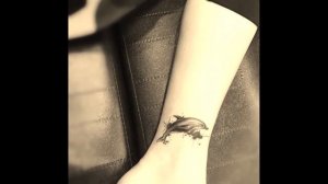 Best Amazing Dolphin Tattoo Design